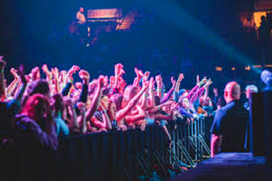 Professional security personnel and crowd management staff at event